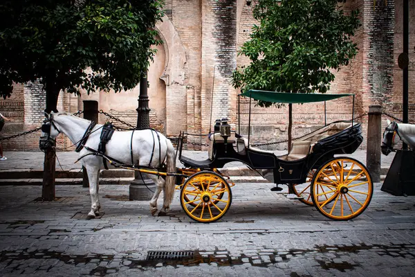 Un paseo por algunos de los lugares y monumentos mas iconicos de Sevilla