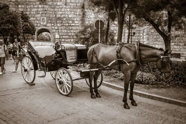 Un paseo por algunos de los lugares y monumentos mas iconicos de Sevilla