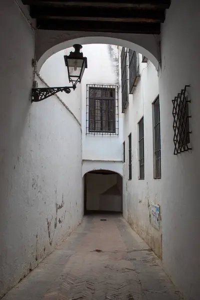 Un paseo por algunos de los lugares y monumentos mas iconicos de Sevilla