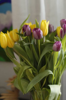 Lale güzel buket. renkli Lale.