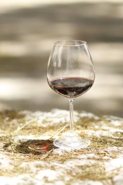 wine in the vineyard