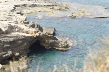 Doğanın güzel manzarası