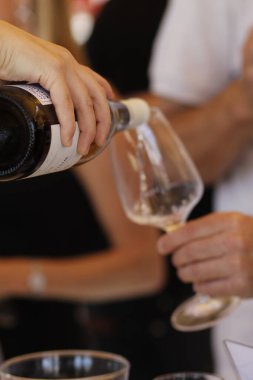 Şarap tadımı bağ.