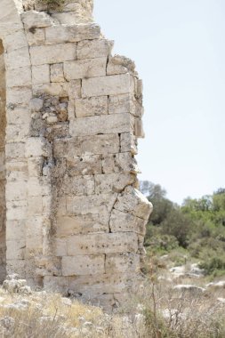 Antik ephesus şehrinin kalıntıları, hindi..