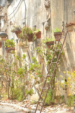 Şehirde terk edilmiş eski bir ev.