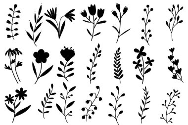 Siyah ve beyaz çiçekler.