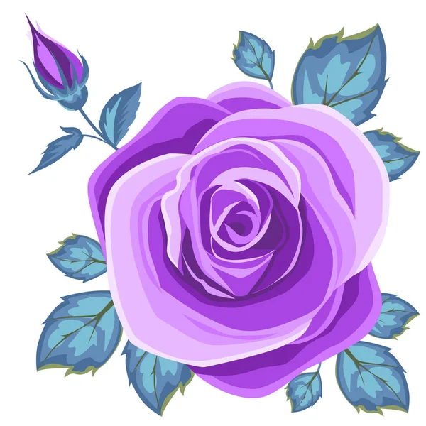 Фиолетовый Цветок Листьями Зеленой Розой Изолированы Белом Фоне Векторная Иллюстрация — стоковый вектор