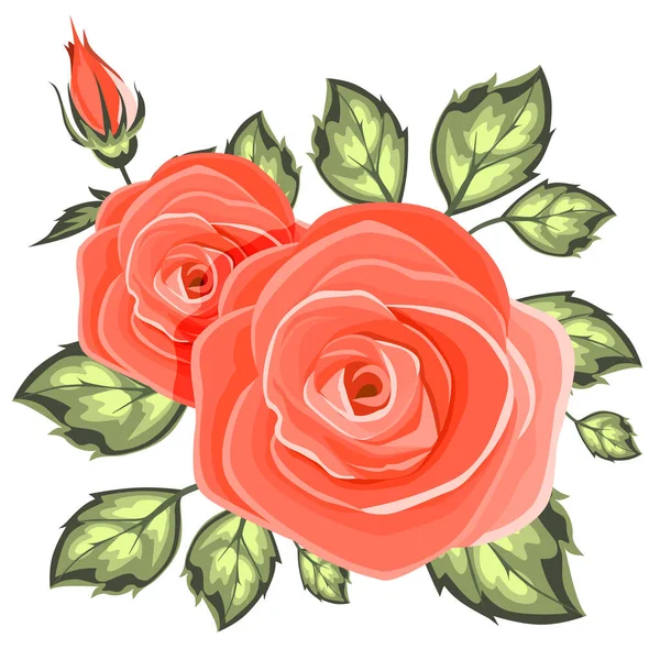Ros Och Röd Blomma Vektor Isolerad Illustration — Stock vektor