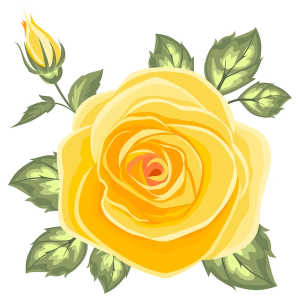 Illustration Aquarelle Une Belle Rose Jaune — Image vectorielle