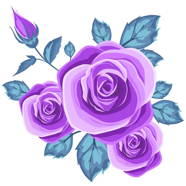 Фиолетовая Роза Зелеными Листьями — стоковый вектор