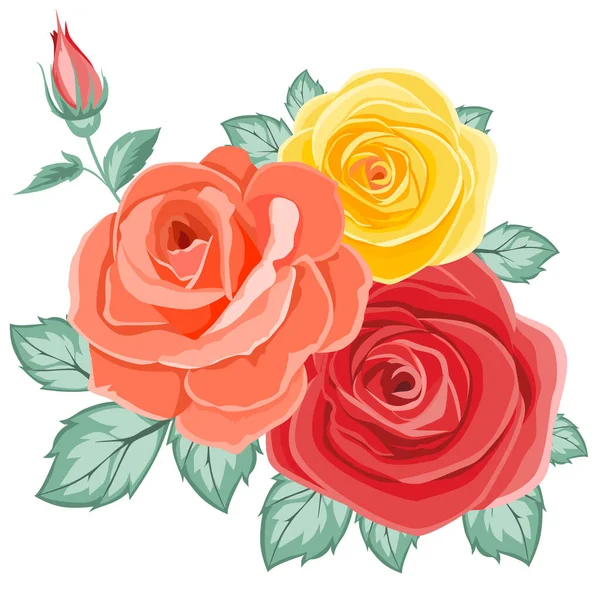 Vector Illustration Beautiful Red Yellow Roses — Stock Vector