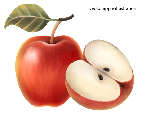 Vektorové Červené Jablko Jablečné Ovoce Jablko List Jablko Jablko Izolované — Stockový vektor