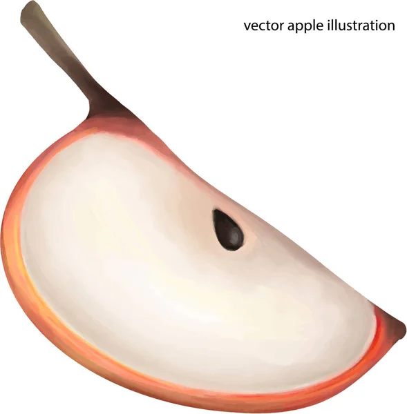 Vektorové Znázornění Ovoce Bílém Pozadí Jablka — Stockový vektor