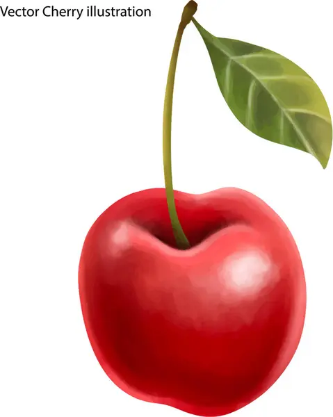 Cherry Leaf Vector — Stock Vector