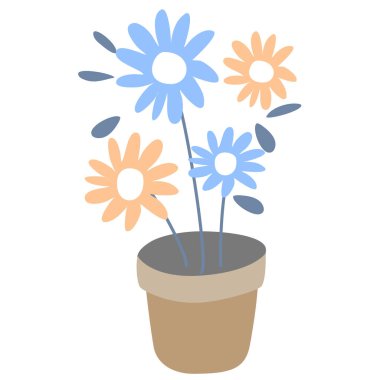 saksıdaki çiçekler