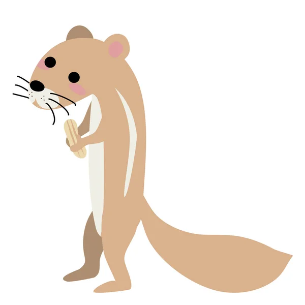 Cartoon Cute Squirrel White Mouse — Stock Vector