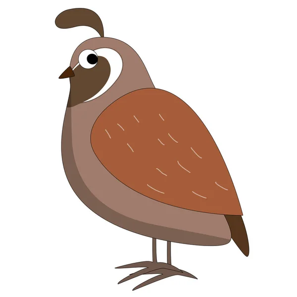 Vektorová Kreslená Ilustrace Ptáka Izolované Bílém Pozadí — Stockový vektor