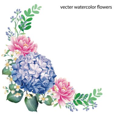 Hydrangea elle çizilmiş suluboya çiçekli bir vektör çizimi
