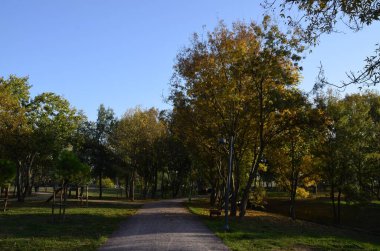 Autumn Season, Green Trees and Forest Path. Istanbul Turkey.