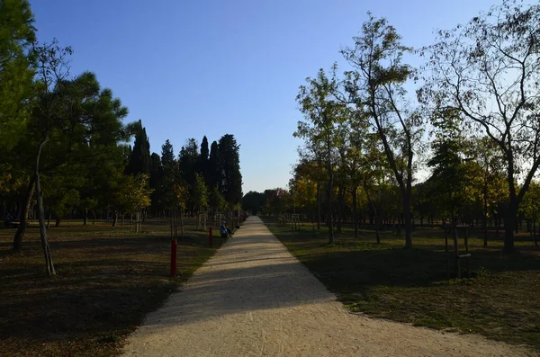 Güz mevsimi, Yeşil Ağaçlar, Orman Yolu ve Yürüyen İnsanlar. İstanbul, Türkiye.