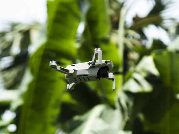 Flying drones above the countryside field, Drone flying over banana fields