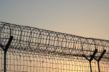 Gün batımında dikenli teller, yakın plan, güvenlik konsepti