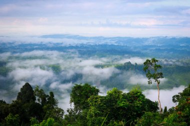 Sajek Vadisi Sabah Manzarası Sajek Rangamati, Chattogram, Bangladeş