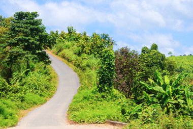 Bangladeş 'in Chattogram bölgesindeki Khagrachari' deki dağ yolu..