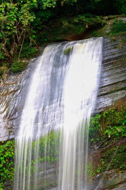 Bangladeş 'in derin ormanlarında şelale, Chattogram Bangladeş