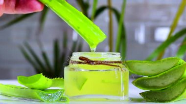 Taze Aloe Vera Gel
