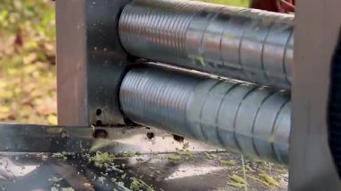 Şeker kamışı meyve suyu yapma makinesine sıkılır ve baston suyu yapılır.