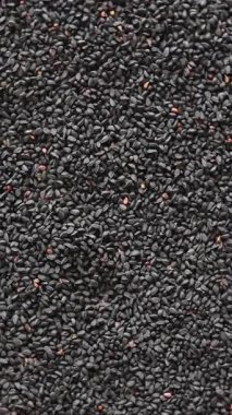 Siyah Tohum Arkaplanda Dönüyor: Nigella Tohumlarının Dikey Dairesel Hareketi