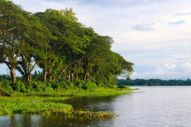 Padma Nehri, Bangladeş 'in manzara görüntüsü