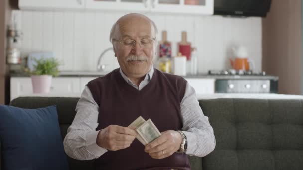 快乐的老人对自己的钱很满意 赢了网上彩票 那位老人正在用美元做扇子 — 图库视频影像