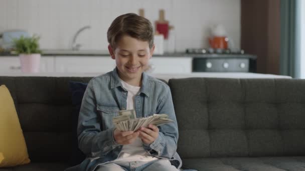 美しい小さな男の子は彼のお金で非常に幸せオンライン宝くじを獲得した その少年はドルで扇を作っている 興奮した少年は一人で家でドルを楽しんで — ストック動画