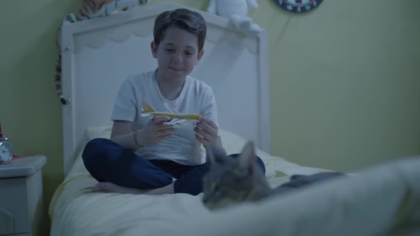 แมวท กการเล กษาส ยงไว ในขณะท อยก งเล บเคร องบ นโดยสารแบบจ — วีดีโอสต็อก