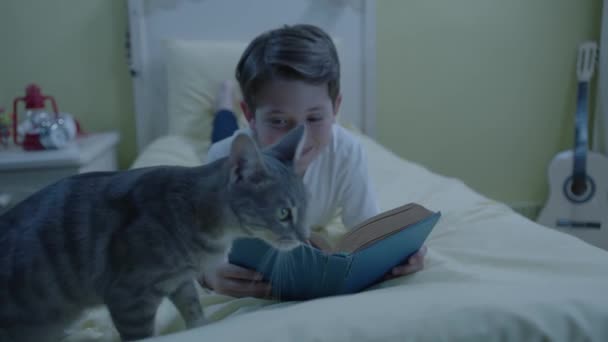 Тваринне Кохання Утримання Домашніх Тварин Поки Маленький Хлопчик Читає Книжку — стокове відео