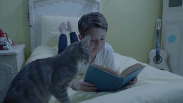 Zvířecí Láska Držení Domácích Mazlíčků Zatímco Malý Chlapec Čte Doma — Stock video