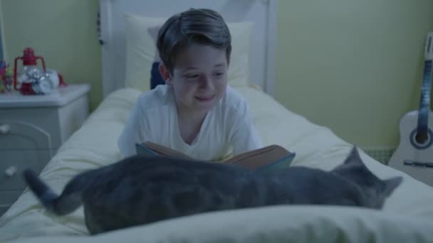 Cinta Hewan Memelihara Hewan Peliharaan Rumah Sementara Anak Kecil Sedang — Stok Video