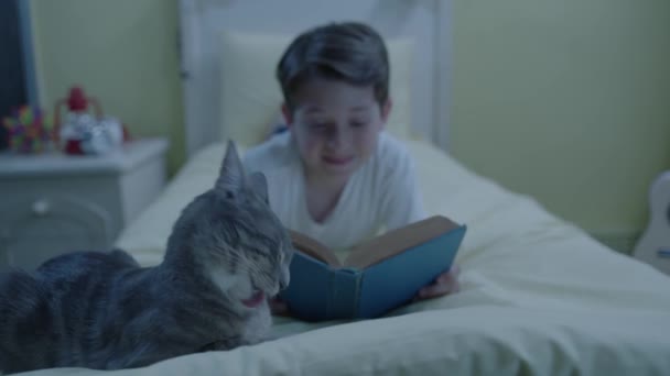 Zvířecí Láska Držení Domácích Mazlíčků Zatímco Malý Chlapec Čte Doma — Stock video