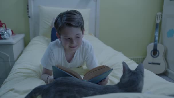 動物の愛 ペットを自宅に保つ 少年は自宅の部屋で本を読んでいるが ペットの猫は彼と遊びたがっている 愛の小さな猫と子供の本のコンセプト — ストック動画