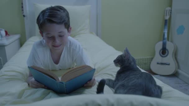 動物の愛 ペットを自宅に保つ 少年は自宅の部屋で本を読んでいるが ペットの猫は彼と遊びたがっている 愛の小さな猫と子供の本のコンセプト — ストック動画