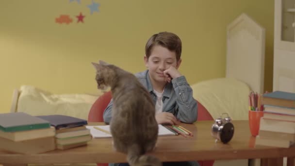 少年は保育園のテーブルの上で猫と遊んでいます 勉強したくない小さな子供と彼女の部屋で遊んで美しい小さな猫を愛しています 家でのペットフードのコンセプト — ストック動画