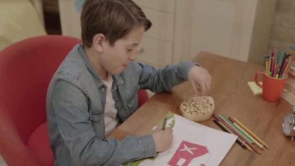 Little Boy Eats Hazelnuts Peanuts Walnuts While Doing His Lessons — Stock Video