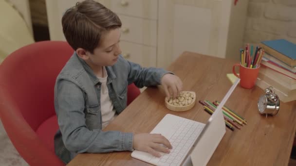 Menino Come Avelãs Amendoins Nozes Fazer Suas Lições Computador Tablet — Vídeo de Stock