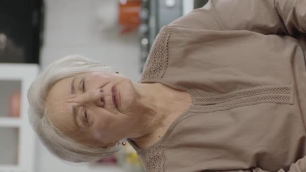 Hvid Håret Gammel Kvinde Chatter Med Kameraet Den Gamle Kvinde – Stock-video
