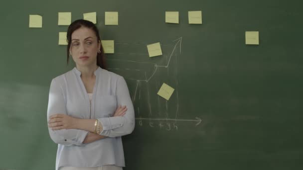 Lehrerin Steht Mit Aufgeklebten Zetteln Und Kreidegezeichneten Matheformeln Vor Der — Stockvideo