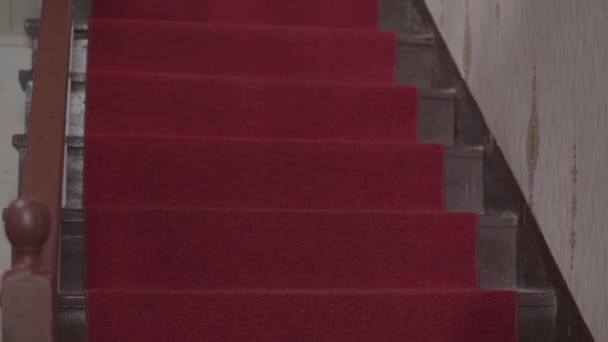 レッドカーペットと古い木製の茶色の階段のビュー 歳の茶色の素朴な階段を下り 高齢者の女性のクローズアップ足 — ストック動画