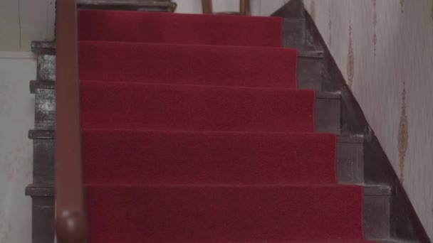 View Old Wooden Brown Stairs Red Carpet Close Feet Elderly — Stock Video