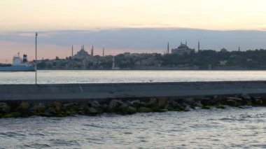 A lonely bird on the breakwater at sea.The wave travels along the breakwater and crashes into it. Topkapi palace, breakwater and ships in the background.